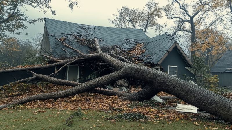 Storm Damage Restoration Service