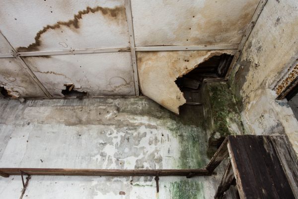 Water Damage Service in Homestead