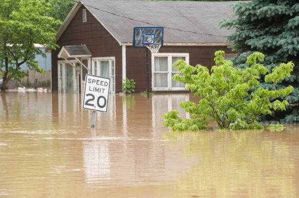 Cost of Storm Restoration Service in Homestead