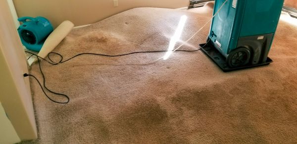 Flood Damage Cleanup in Homestead