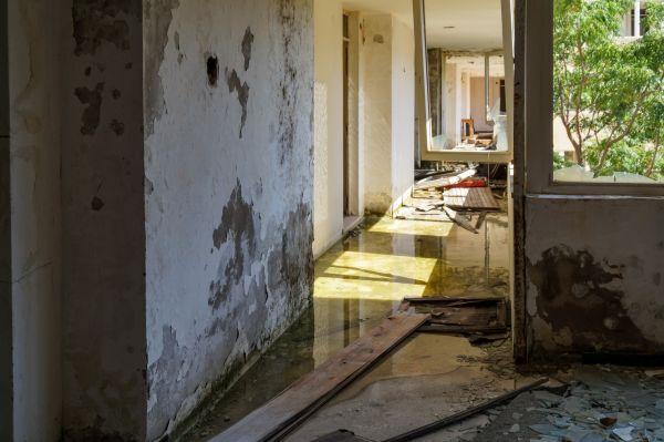 Water Removal Service in Homestead
