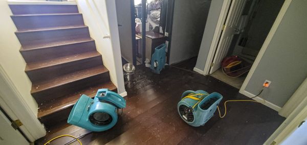 Water Damage Remediation in Homestead