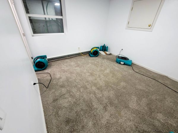 Flood Restoration Service in Homestead