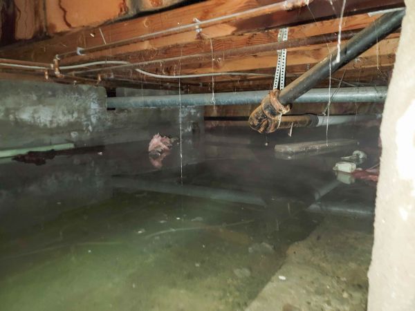 Water Mitigation Service in Homestead
