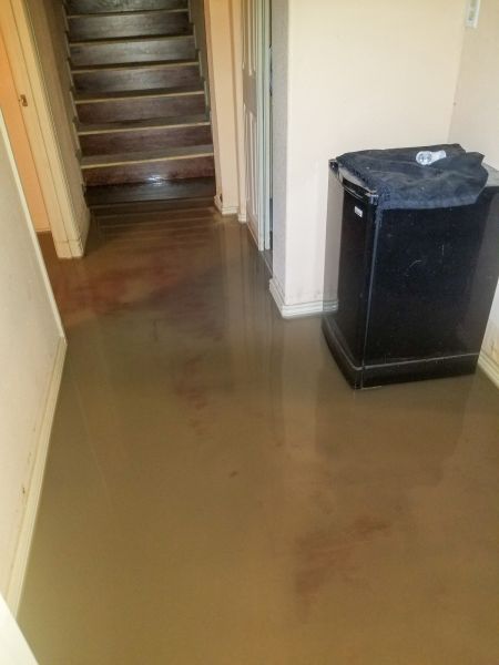 Emergency Water Removal in Homestead