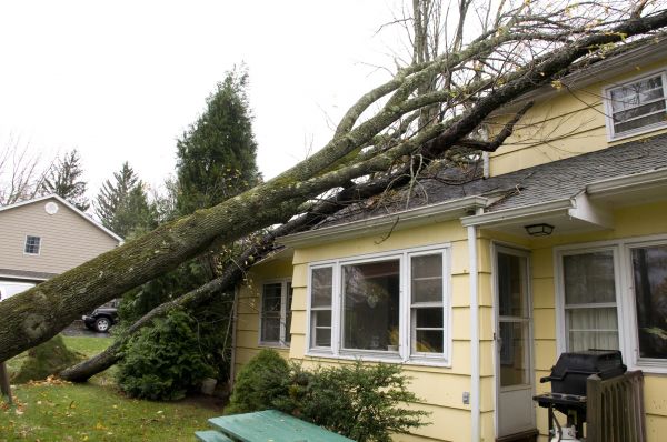 Hurricane Damage Repair in Homestead