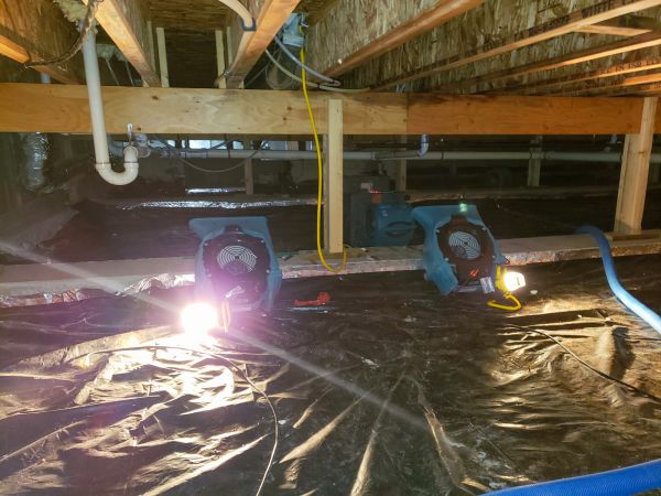 Crawlspace Water Removal in Homestead
